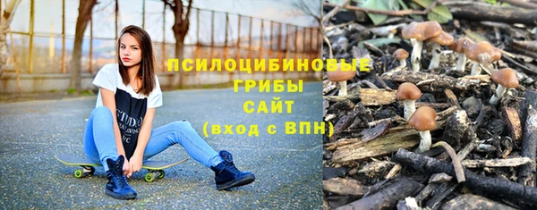 прущие крисы Верхний Тагил