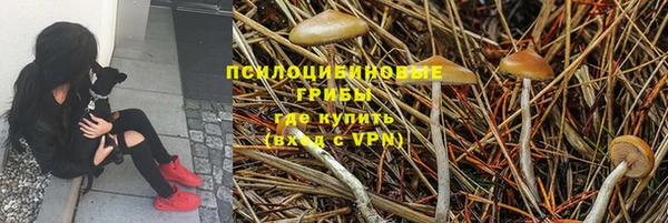 прущие крисы Верхний Тагил