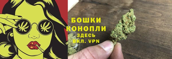 сатива Верхнеуральск